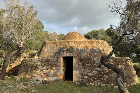 Landejendom i Carovigno, Brindisi, Carovigno - € 54.000 | Ref: 122834 - foto 8